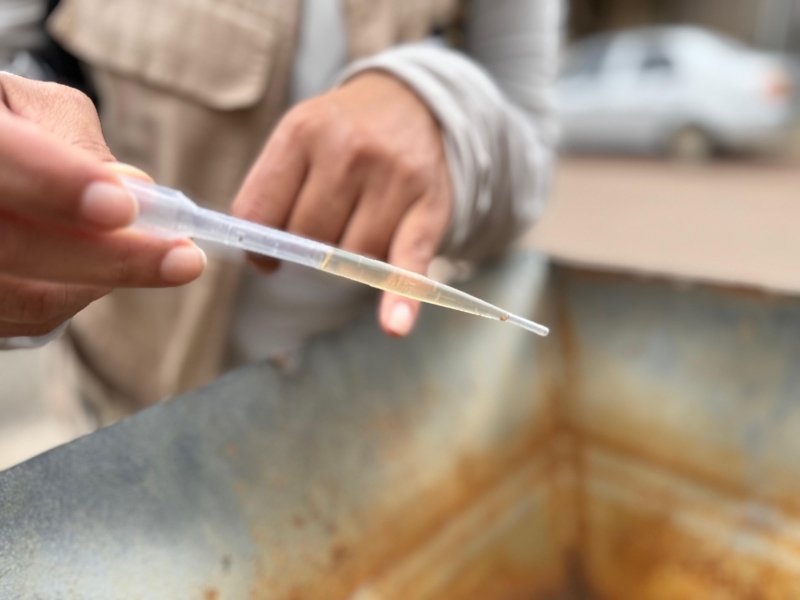 Noticia mutirao-contra-dengue-avanca-vice-prefeito-e-secretarios-reforcam-importancia